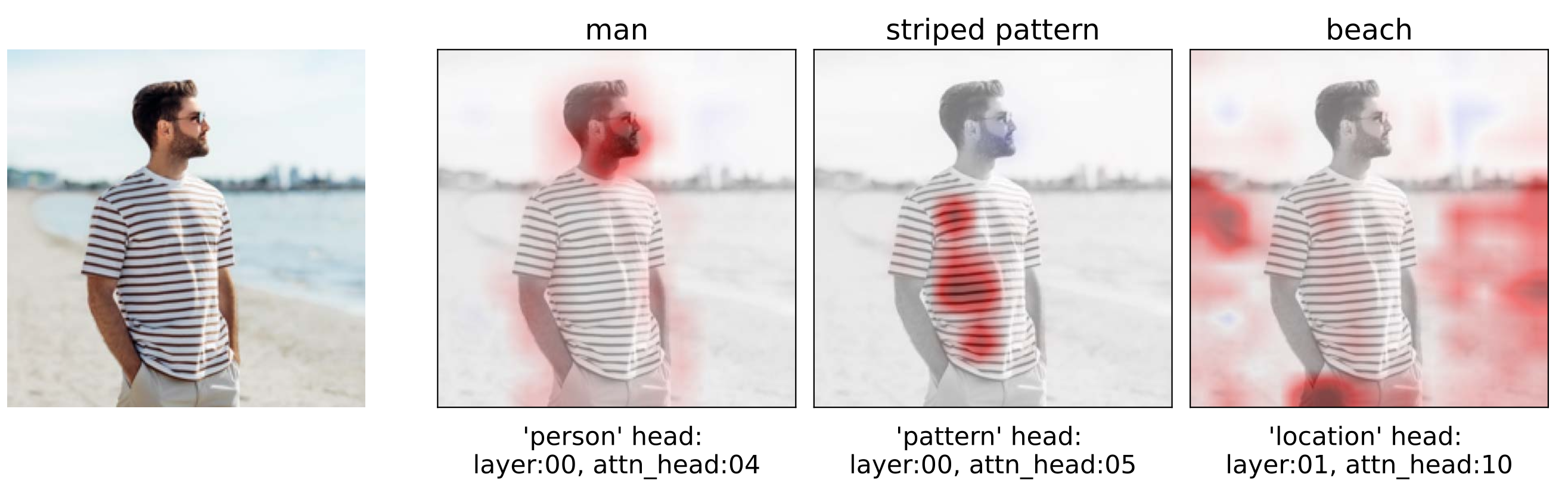 Token importance visualization for man in a striped shirt at a beach